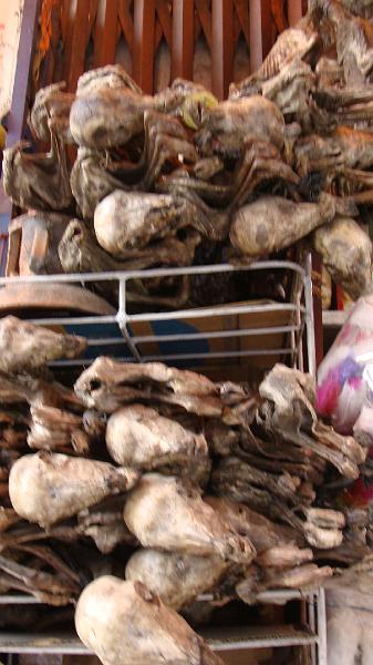 La Paz Steves (34).JPG